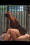 Pasangan mesum di teras Rumah Hampir Ketauan, Kumpulan Video Dewasa , Pusat Film Dewasa, Video Viral , Viral 2026, Film Hot Dewasa, Hasrat21, Nonton Film Dewasa, Video Hot, Kinghasrat